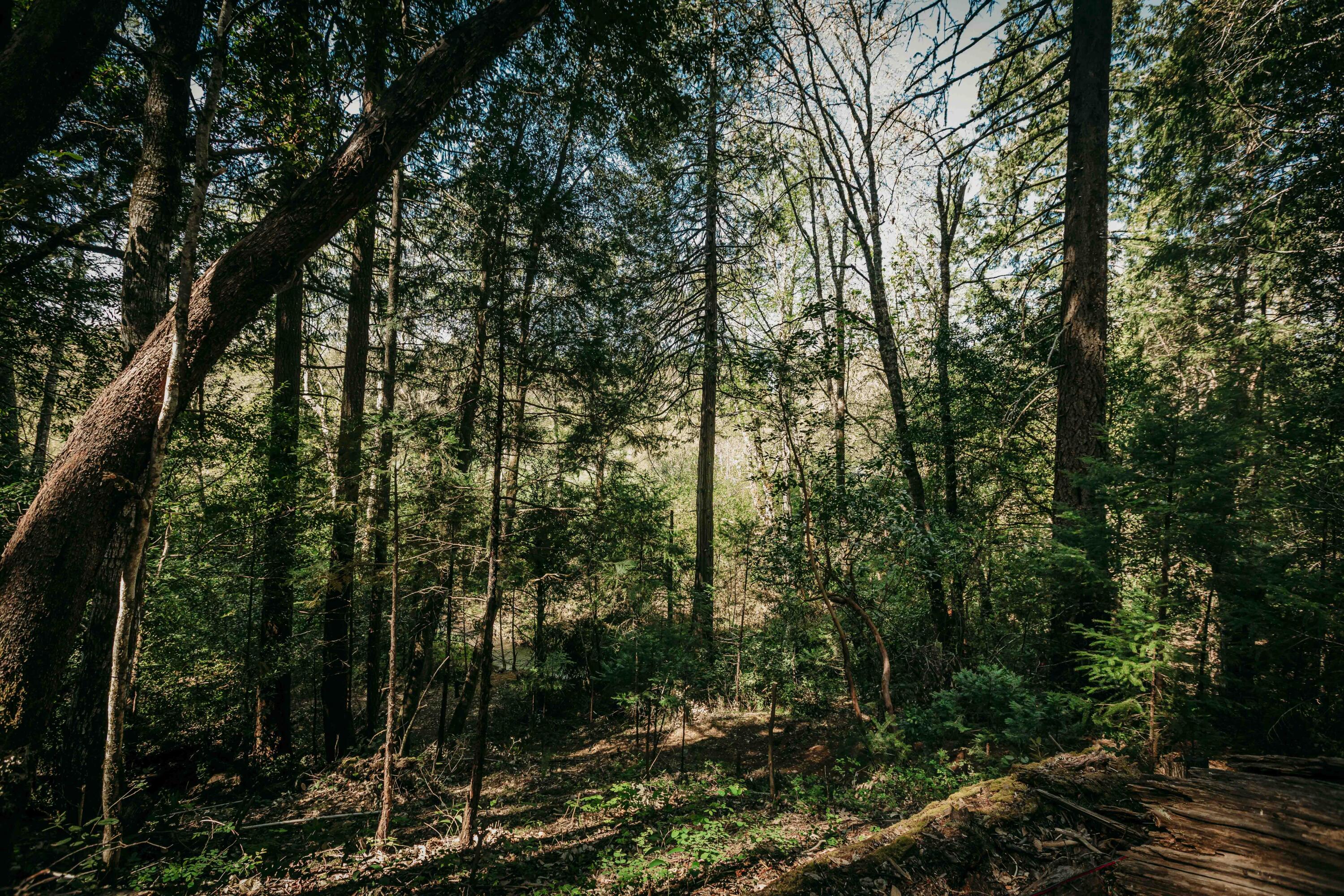 Harbeck Place (1900) Subdivision - Land