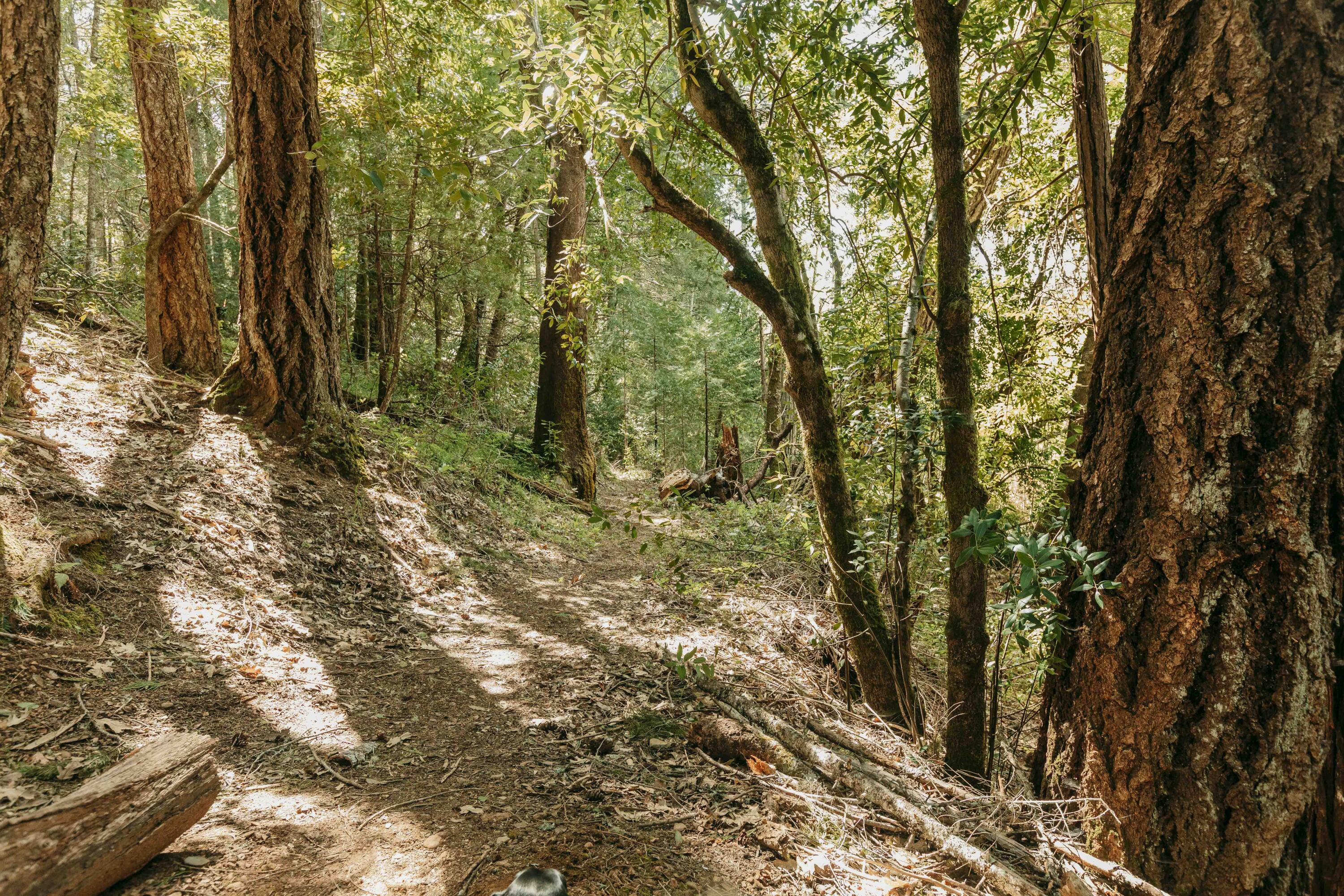 Harbeck Place (1900) Subdivision - Land