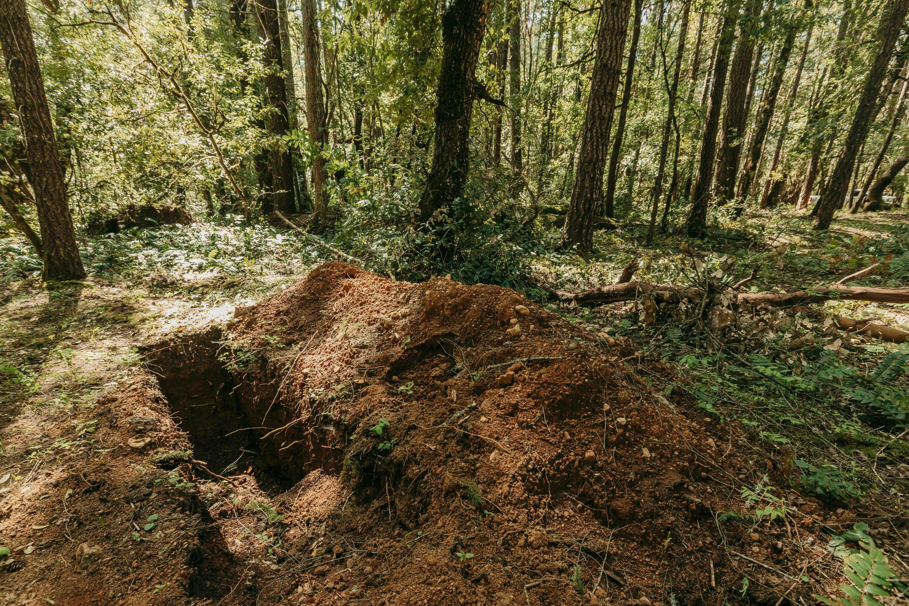 Harbeck Place (1900) Subdivision - Land