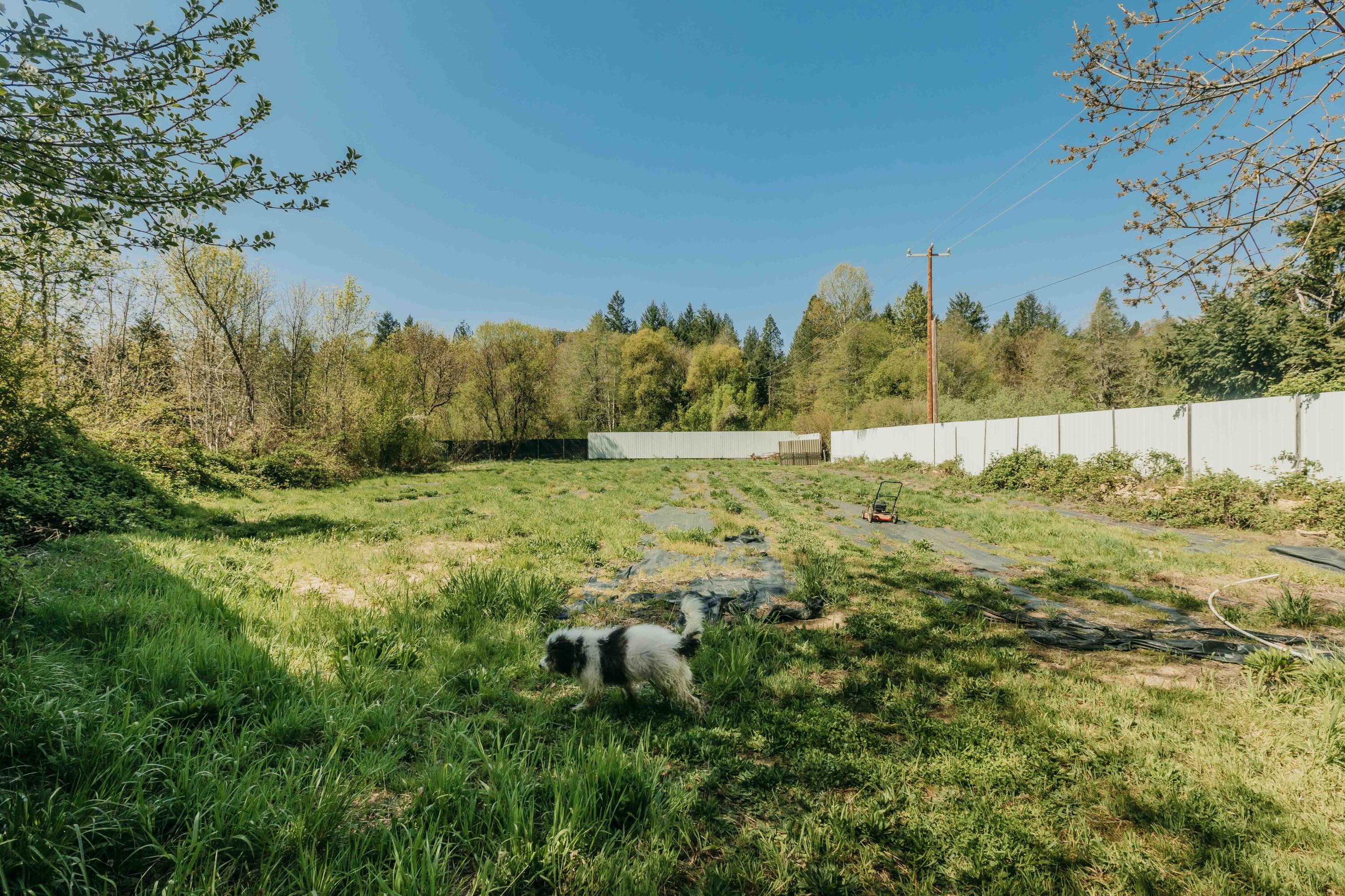 Harbeck Place (1900) Subdivision - Land
