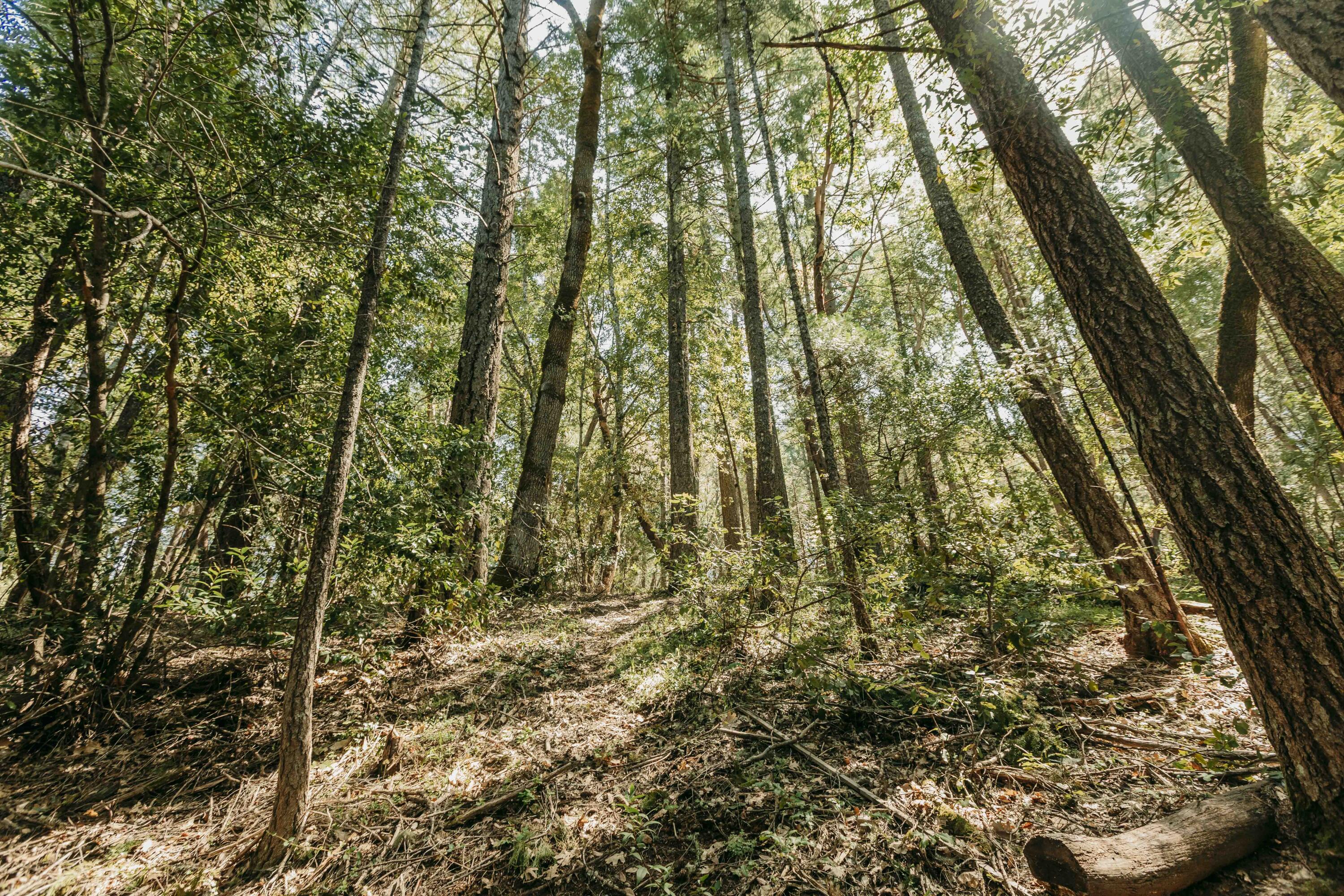 Harbeck Place (1900) Subdivision - Land