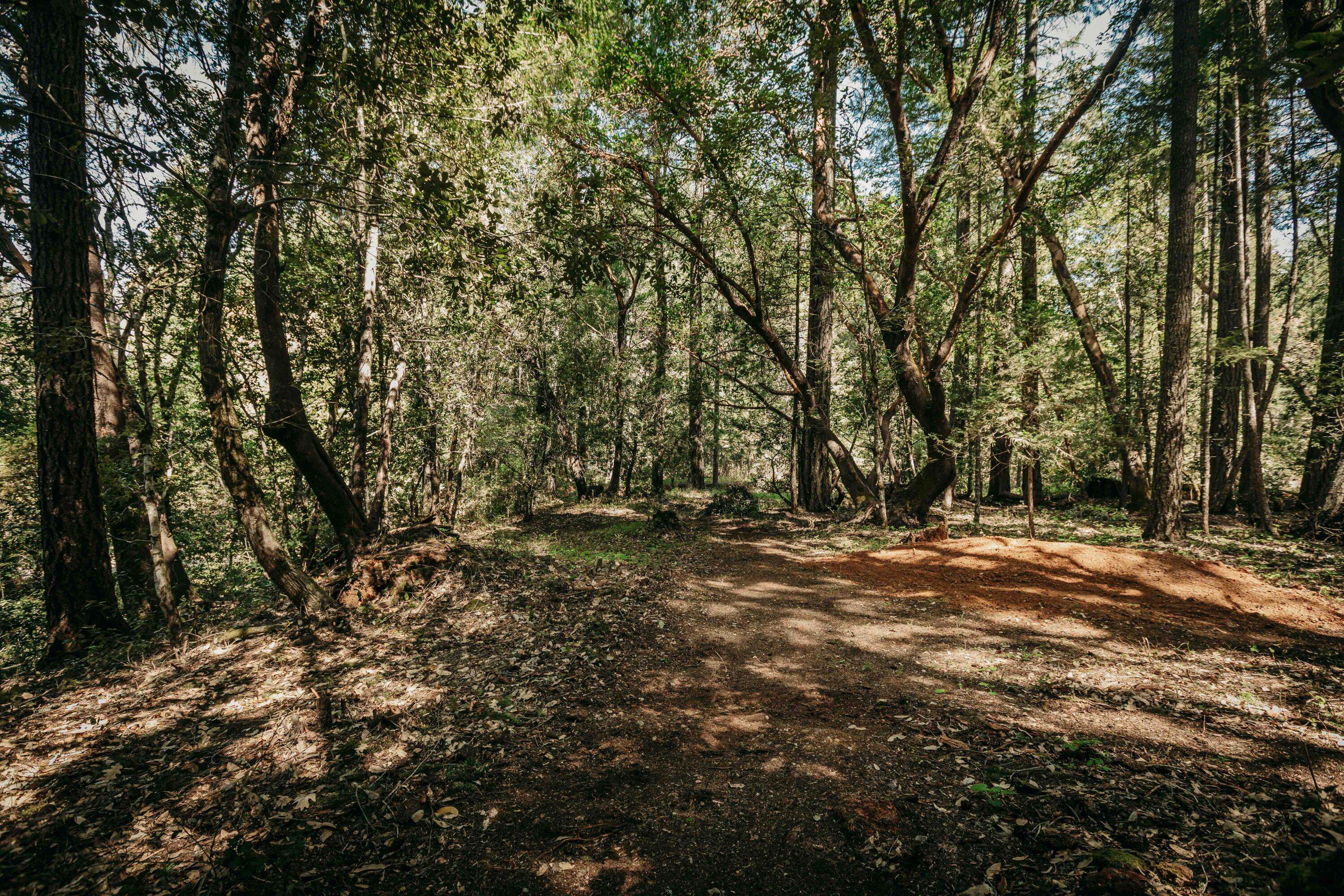 Harbeck Place (1900) Subdivision - Land