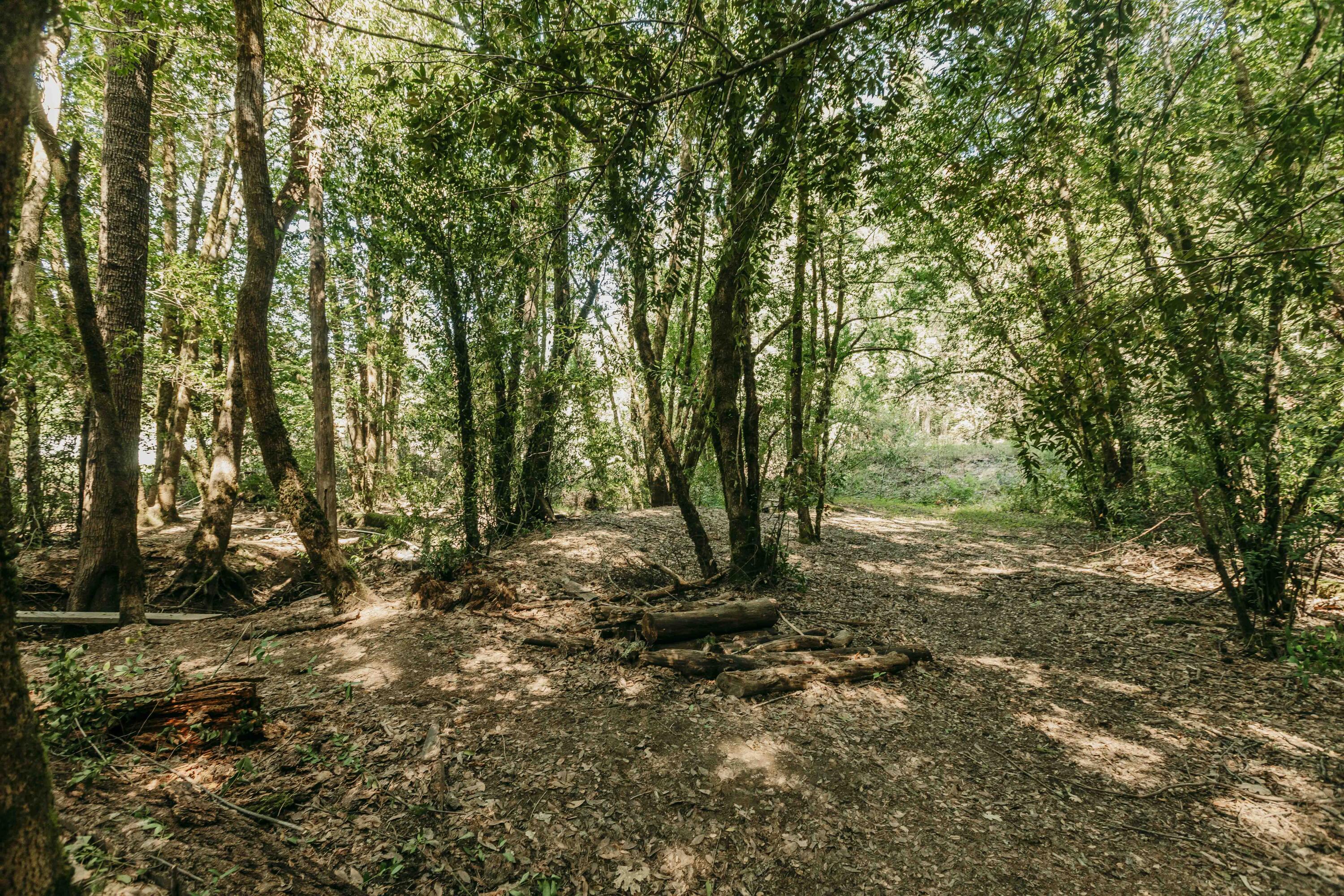 Harbeck Place (1900) Subdivision - Land