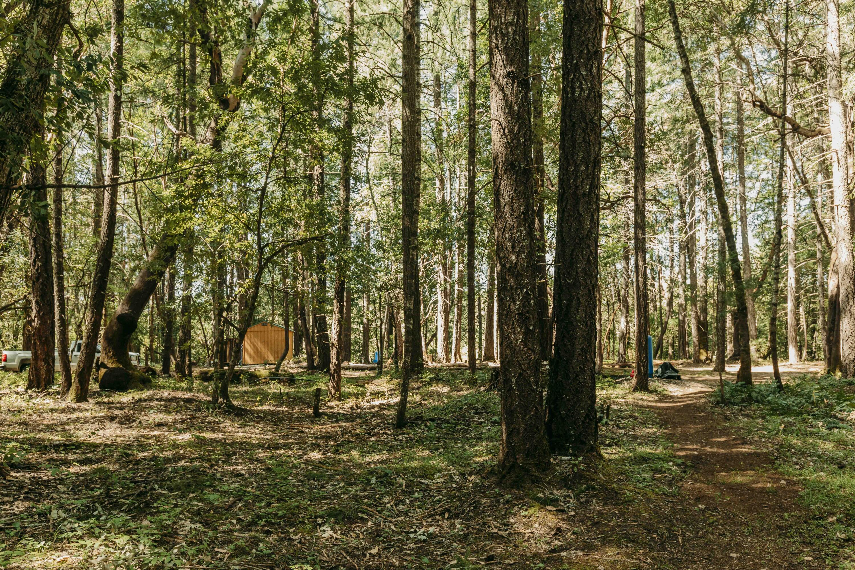 Harbeck Place (1900) Subdivision - Land