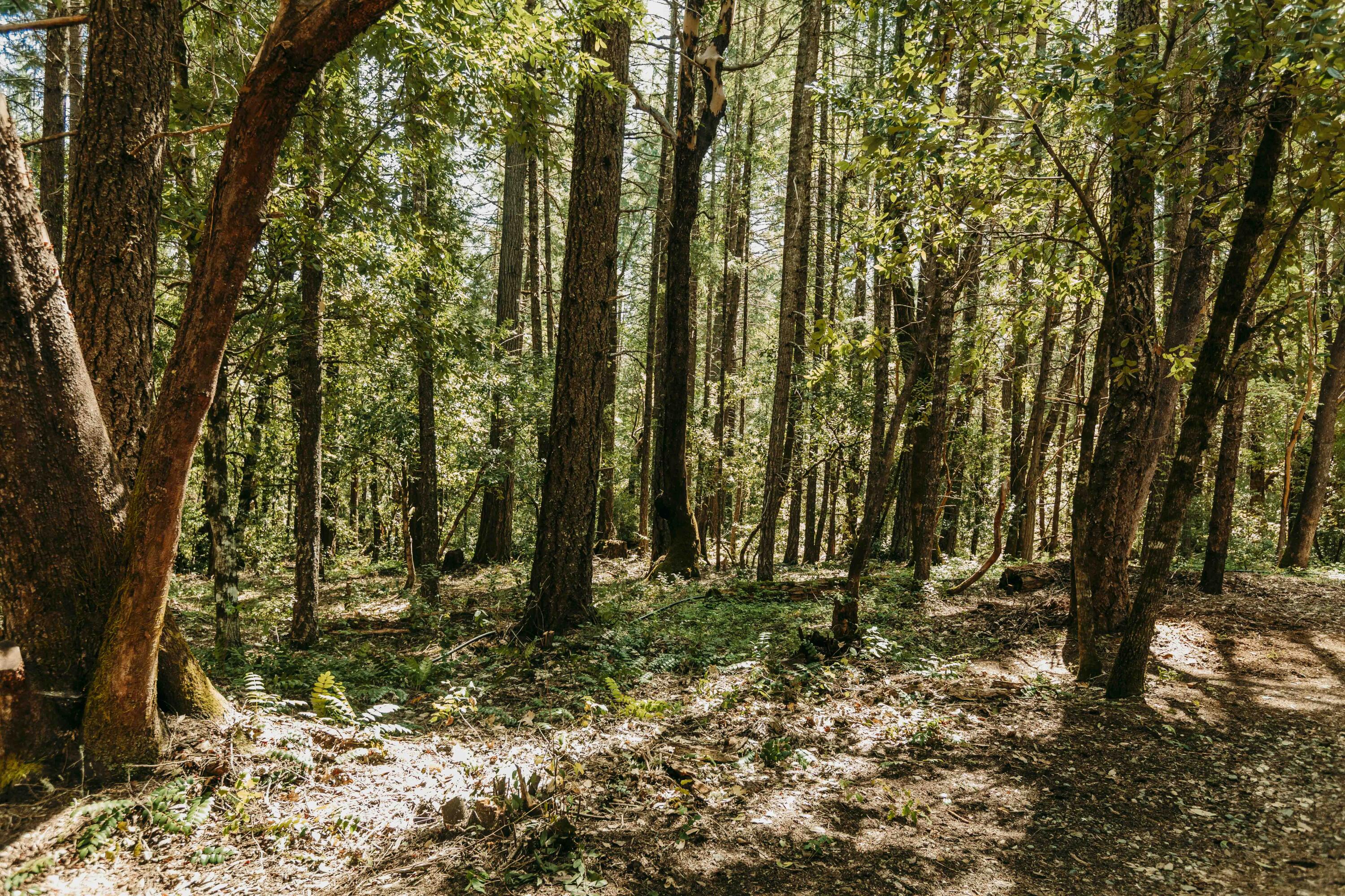 Harbeck Place (1900) Subdivision - Land