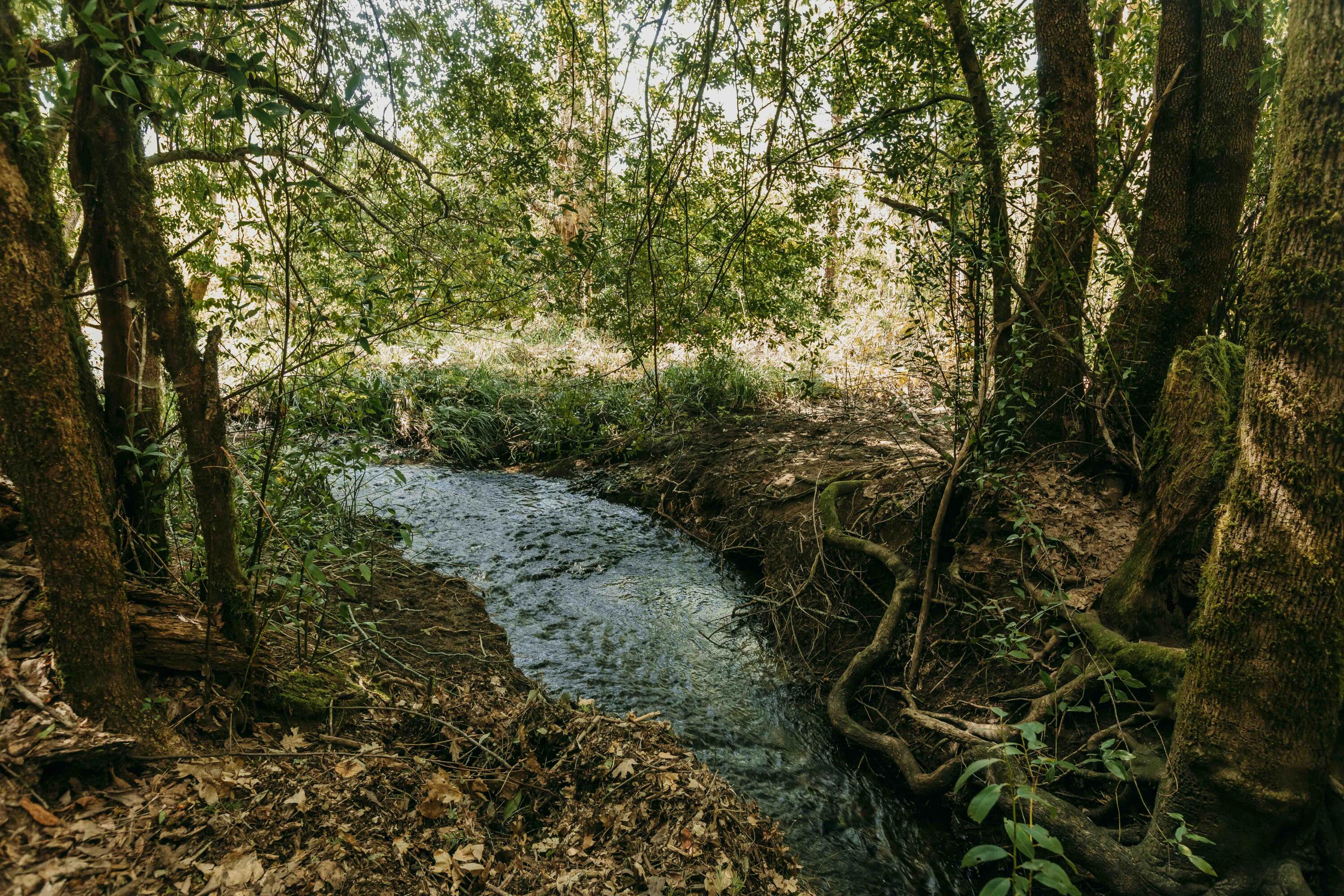 Harbeck Place (1900) Subdivision - Land