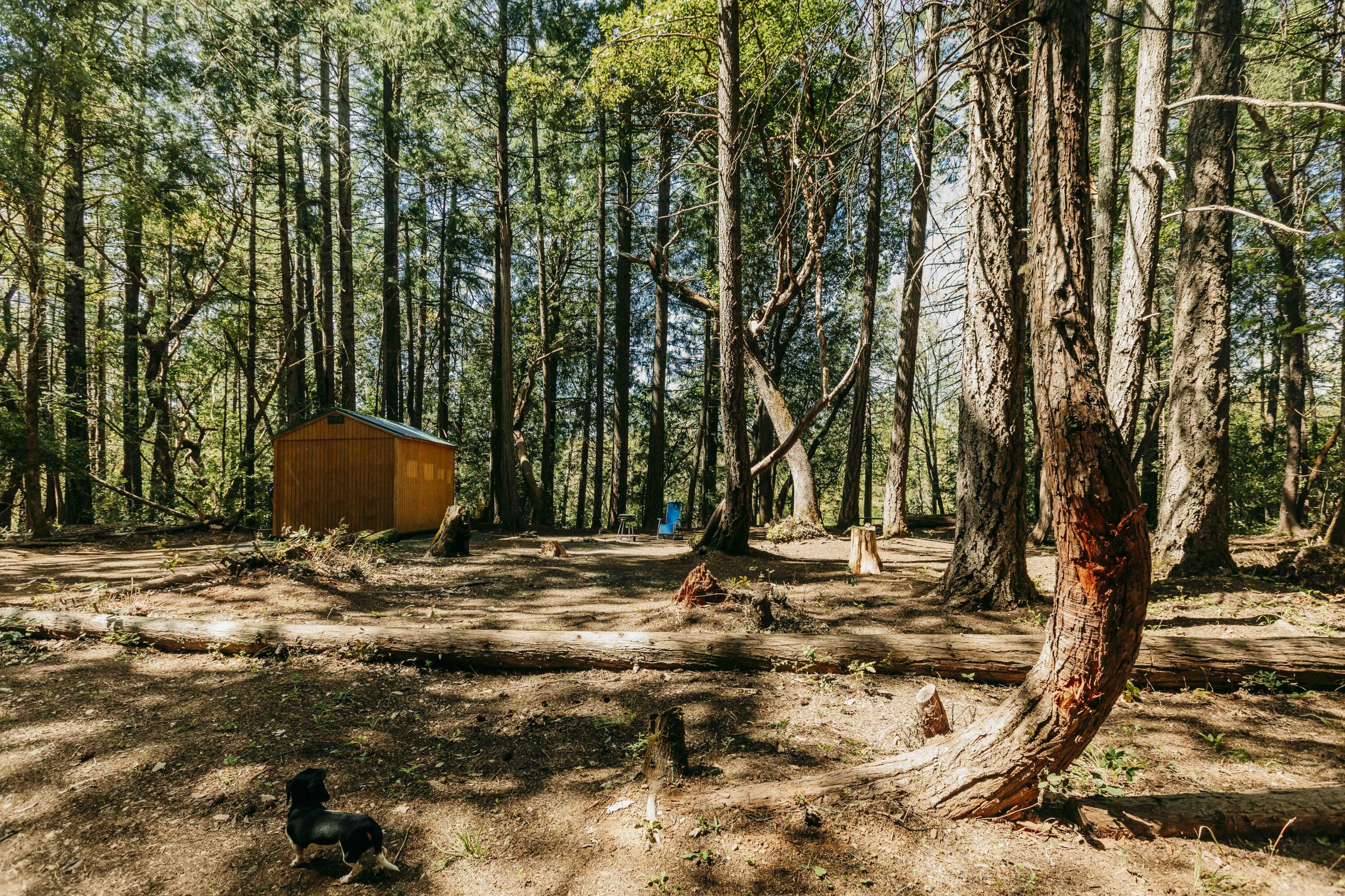 Harbeck Place (1900) Subdivision - Land