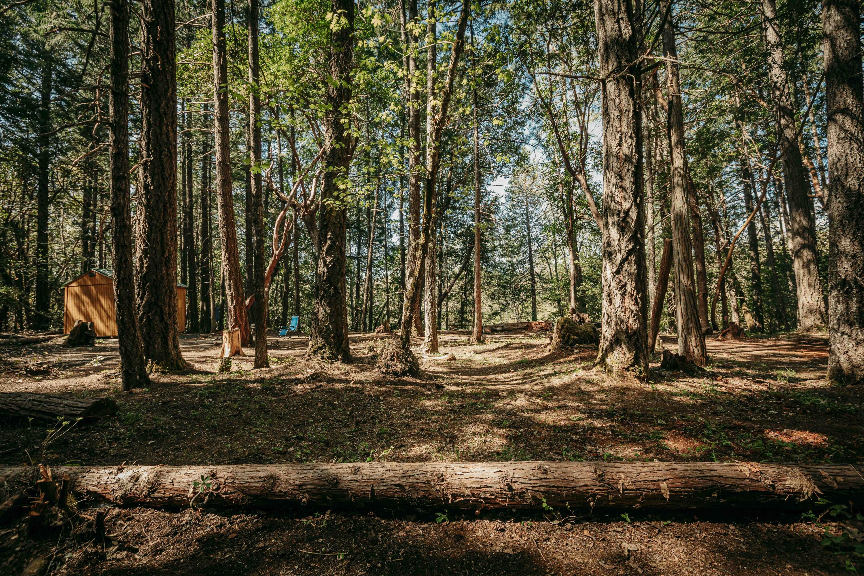 Harbeck Place (1900) Subdivision - Land