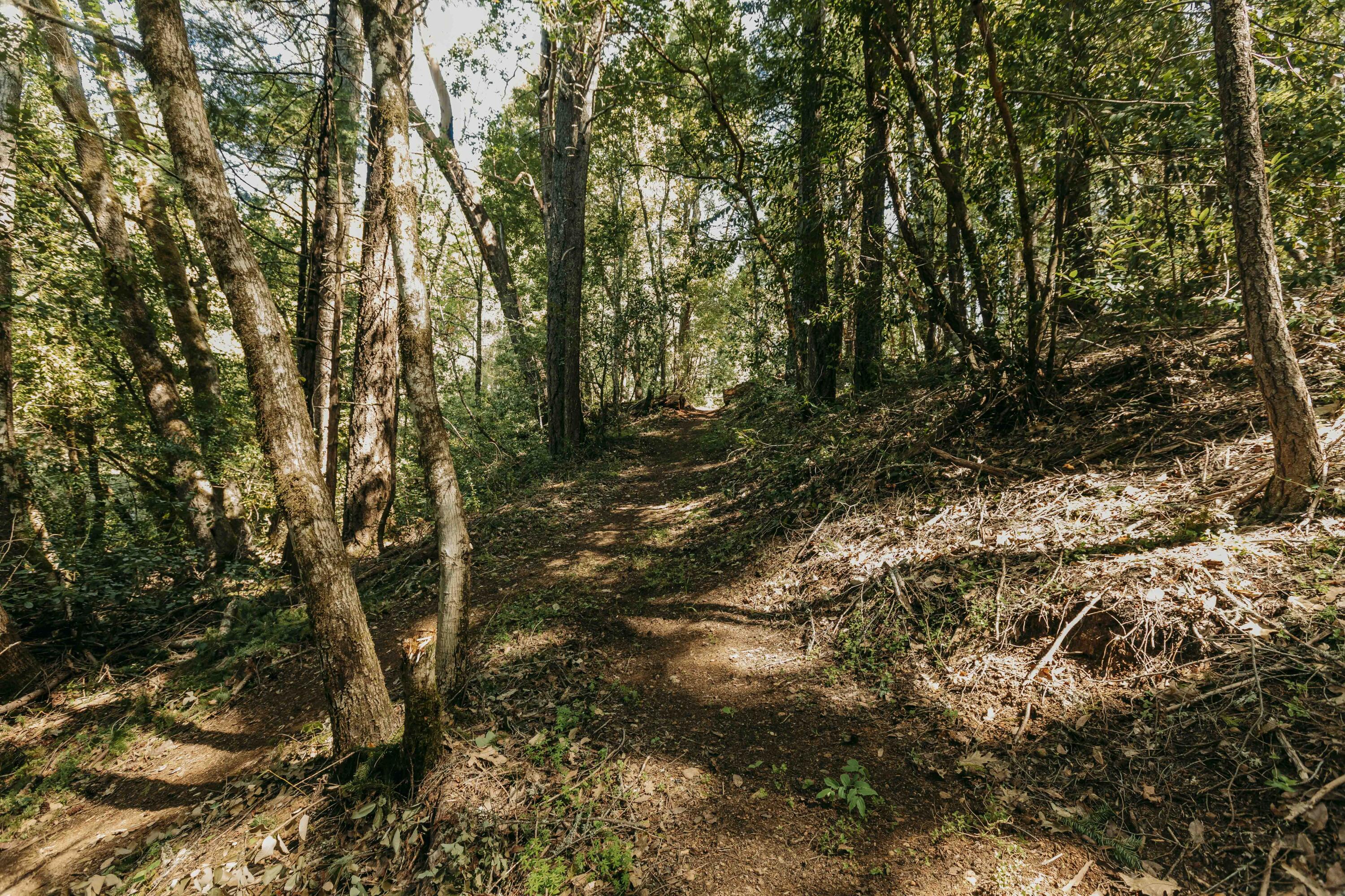 Harbeck Place (1900) Subdivision - Land