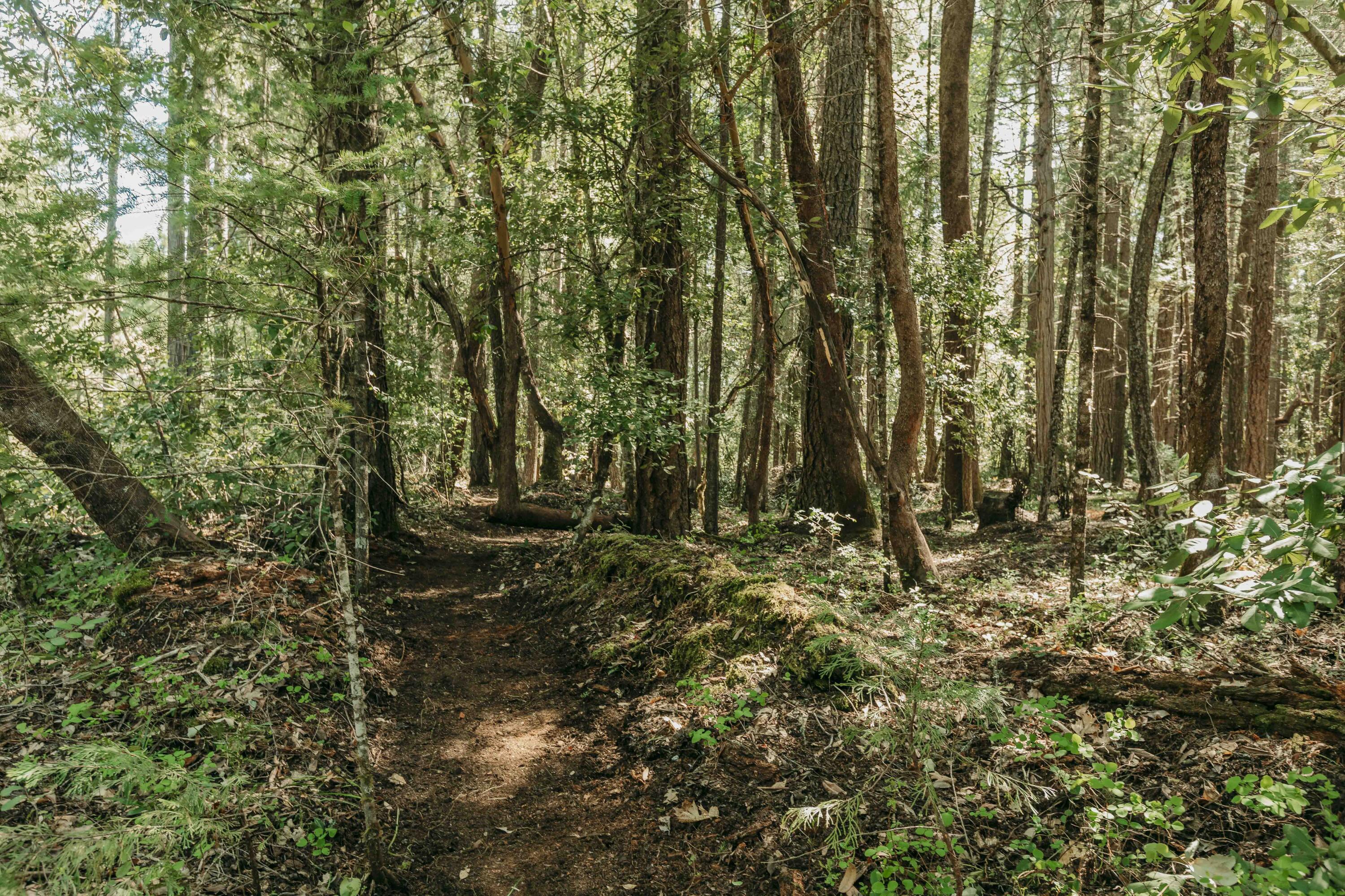 Harbeck Place (1900) Subdivision - Land