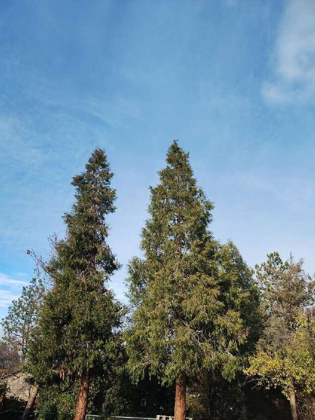 Hidden Springs Subdivision - Residential