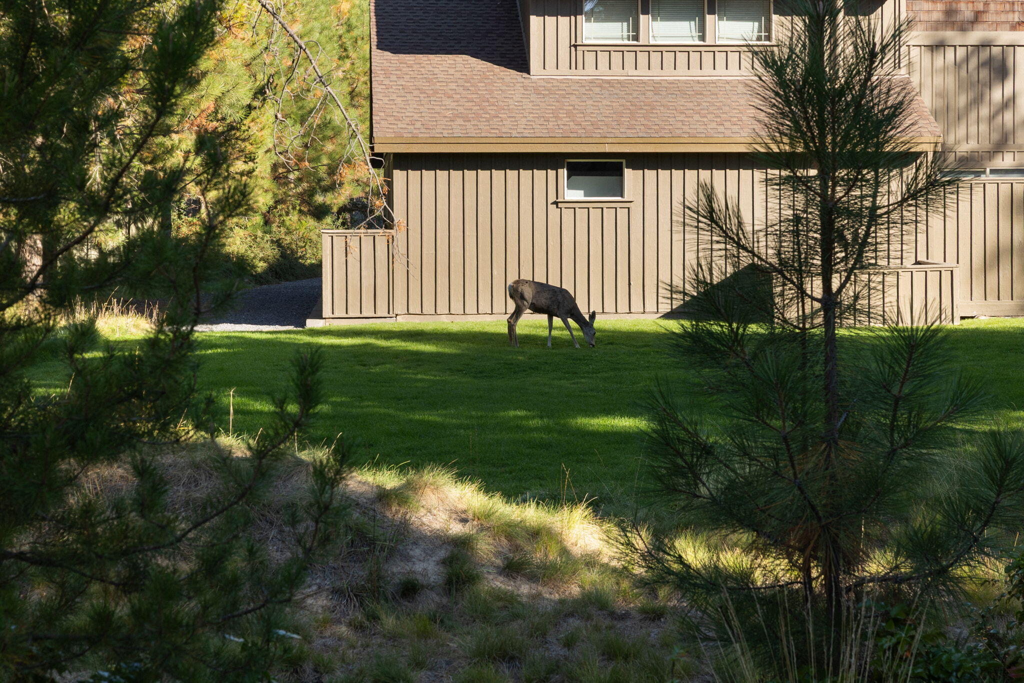 Skyline - Residential
