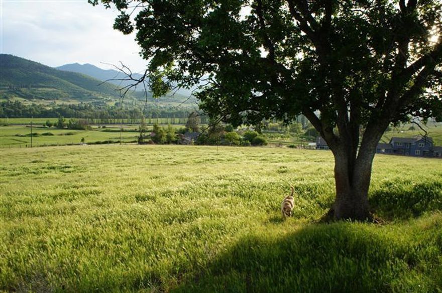 Close-in rural property with amazing views ready for your new home. Seller will provide a 5 gpm or more well and septic system evaluation per agreement with buyers and provide easement to irrigation and spring water run off ditch approximately 350 ft. from buyers property line (buyers responsibility) with acceptable offer. Property has non-expiring Measure 49 Non-Farm home site with EFU zoning.