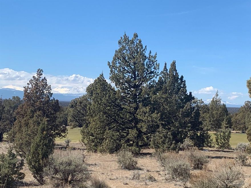 This coveted location on Starview Drive has stunning views of the Cascade Mountains. The lot is located on Brasada Canyons hole #2 and is a very large, open lot. Access your lot with ease from a quiet entrance off Alfalfa Rd. The beautiful high desert terrain adds to the true essence of this location. Enjoy all of the benefits of membership including the Athletic Center with 3 pools, water slide, and lazy river, adult only pool, Equestrian Center, 18 Hole Golf Course, Spa Brasada, Restaurants, Member Club Room, fishing, hiking and so much more!