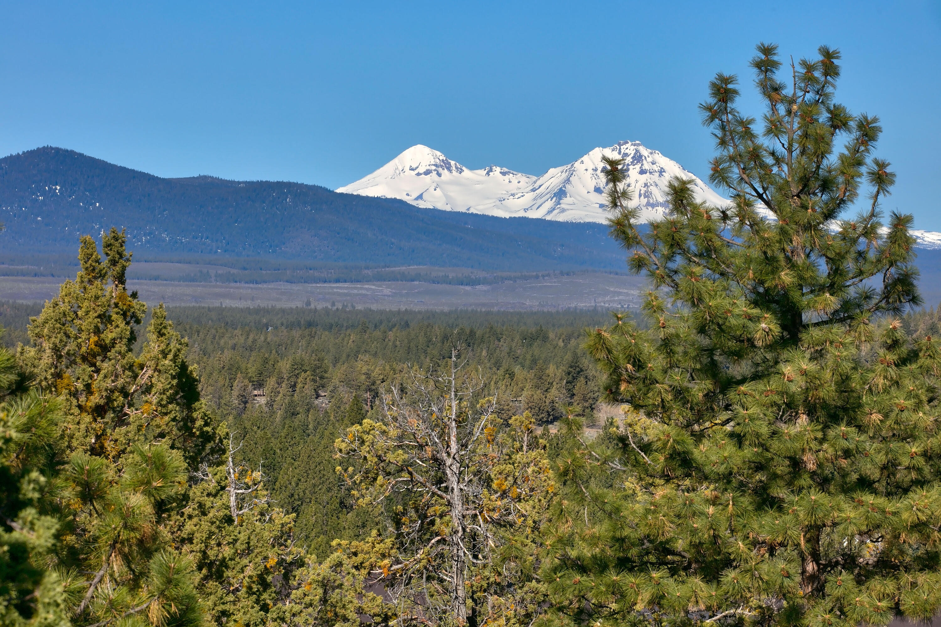 North Rim - Residential