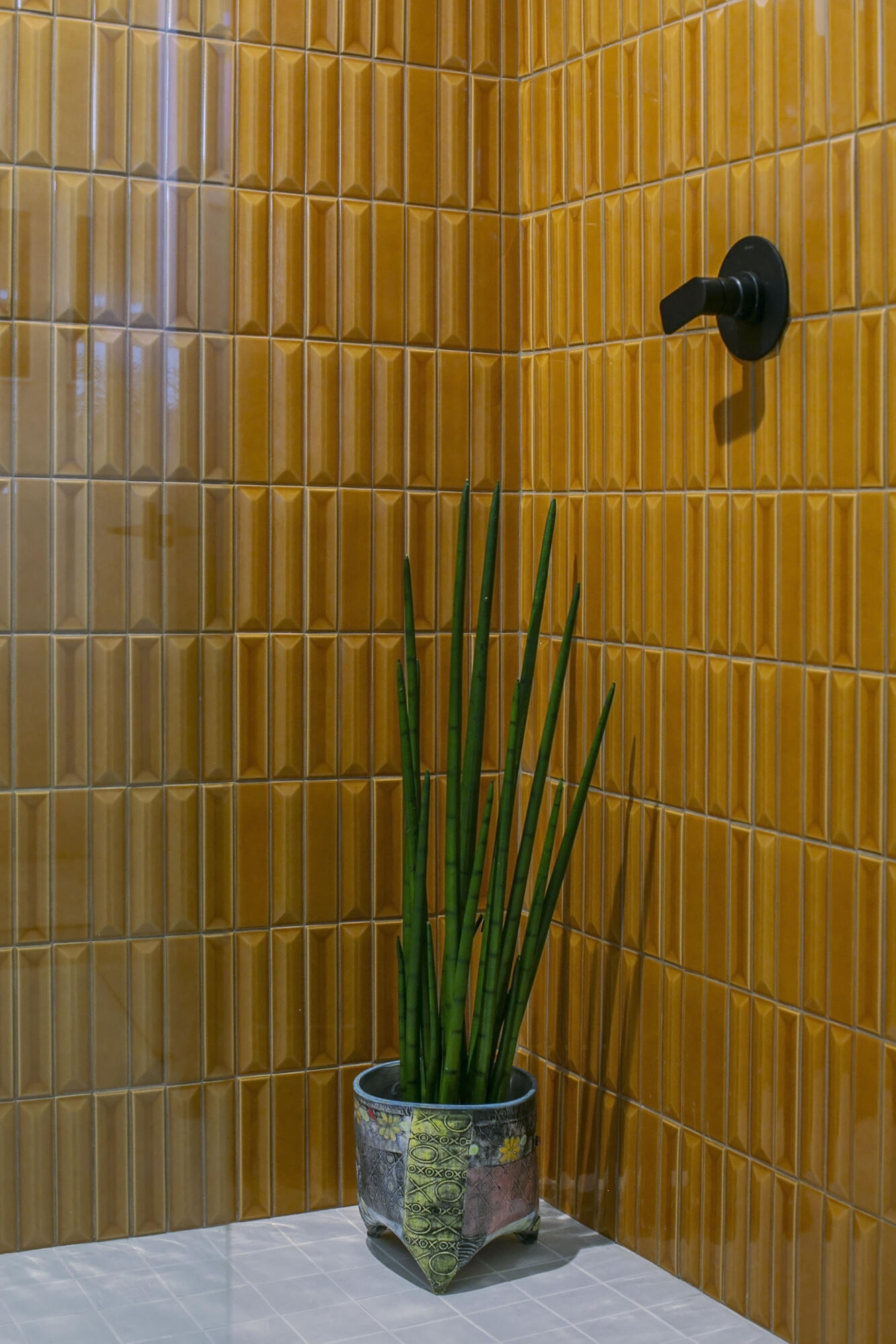 North Rim - Residential