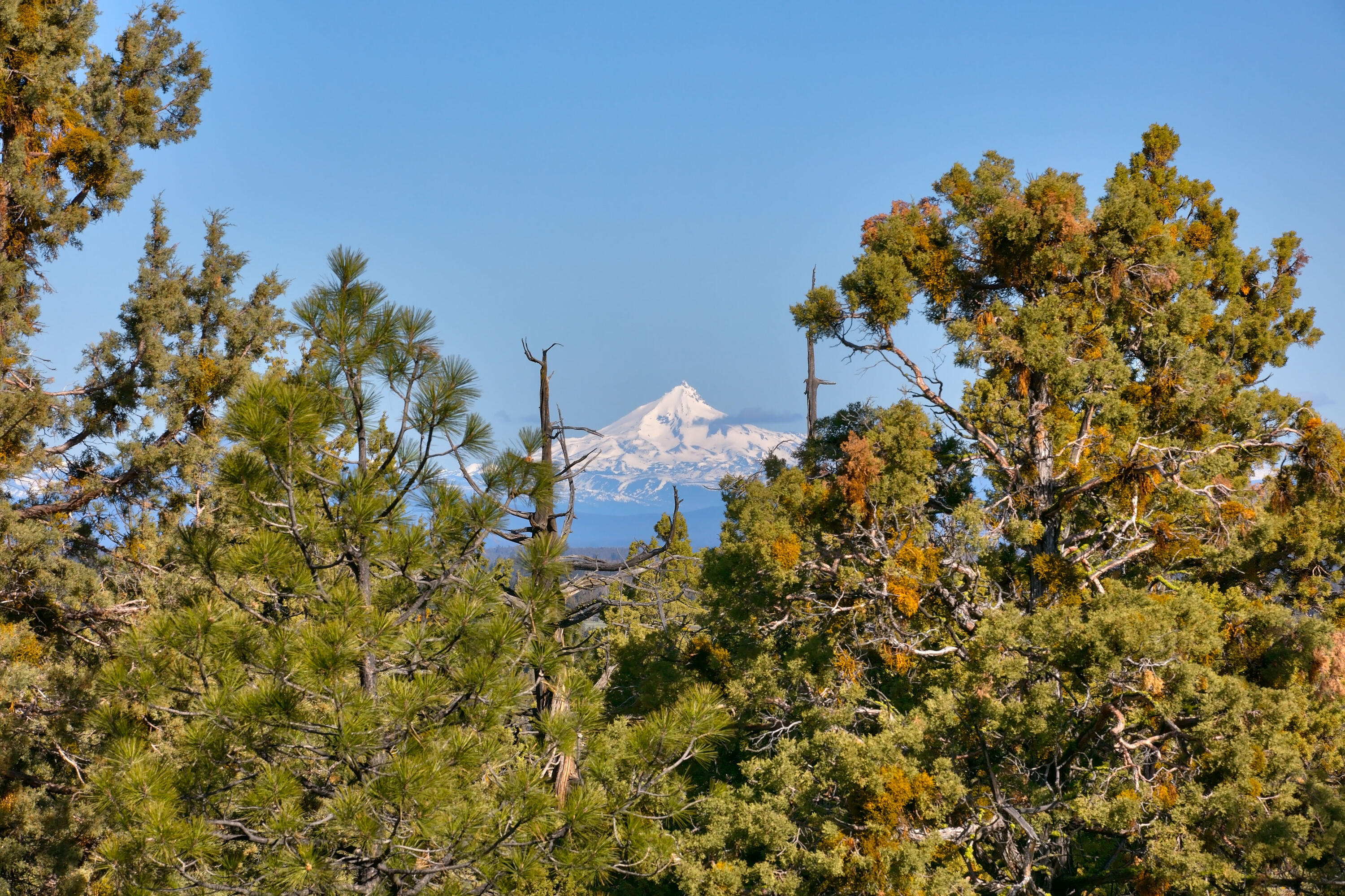 North Rim - Residential