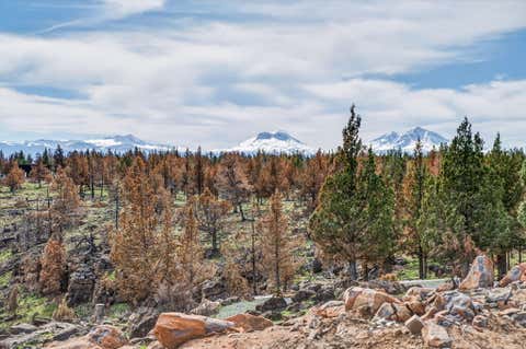 Photo of 18070 Mountain View Road, Sisters, OR 97759 (MLS # 220218037)