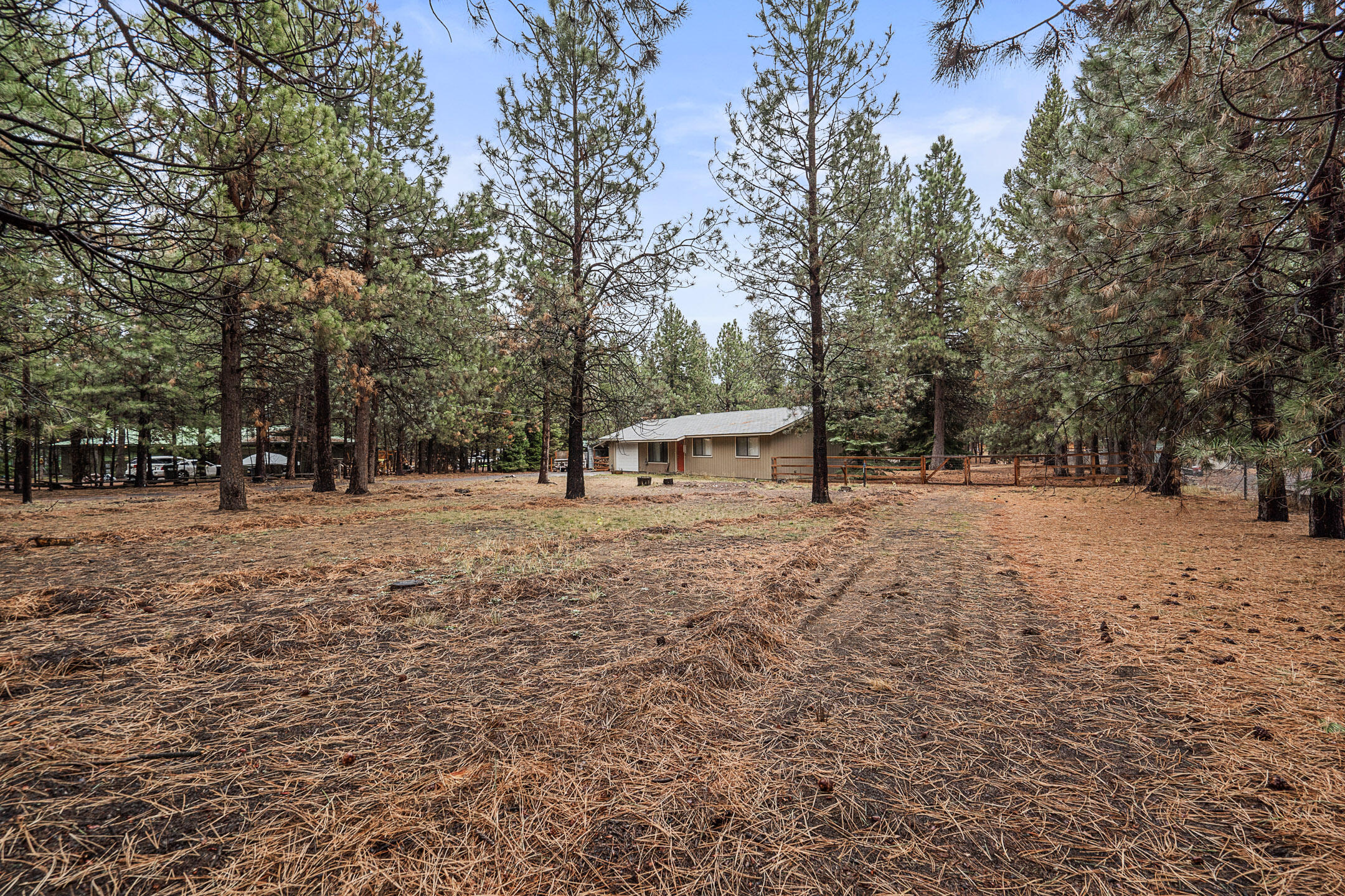 Tall Pines - Residential