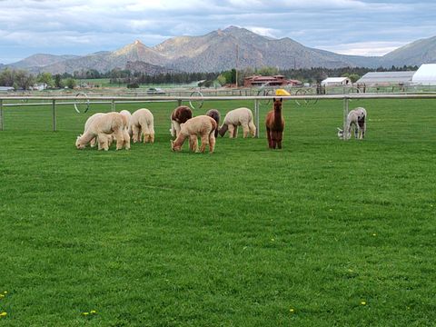 Tiny photo for 9101 NW 31st Street, Terrebonne, OR 97760 (MLS # 220212850)