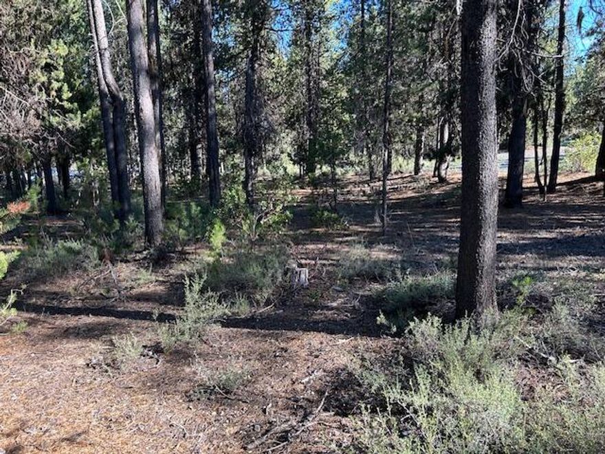 This 1.60 acre parcel is ready for your dreams.  Located approx.. 1 mile East of Crescent Lake Junction.  Easy access to forest lands for all your outdoor adventures.  Crescent Lake, Odell Lake within 3-4 miles, Willamette Pass Ski Resort and the Pacific Crest trail within 9-10 miles.  Numerous other mountain lakes nearby.