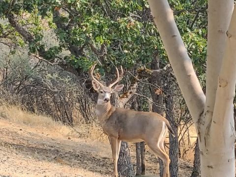 Tiny photo for 198 Flamingo Drive, Eagle Point, OR 97524 (MLS # 220212123)