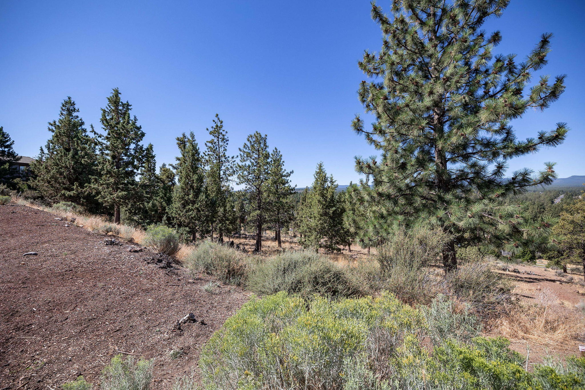 Skyliner Summit - Land