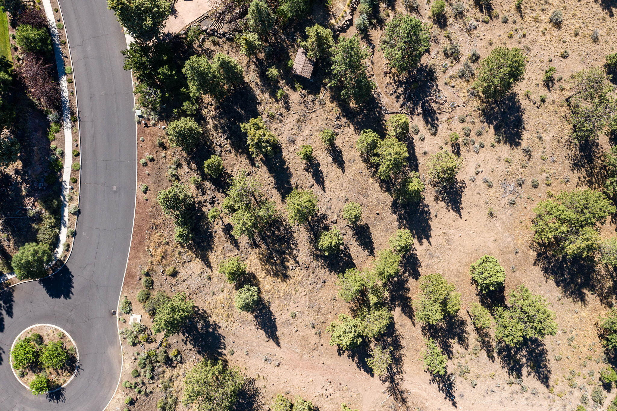 Skyliner Summit - Land