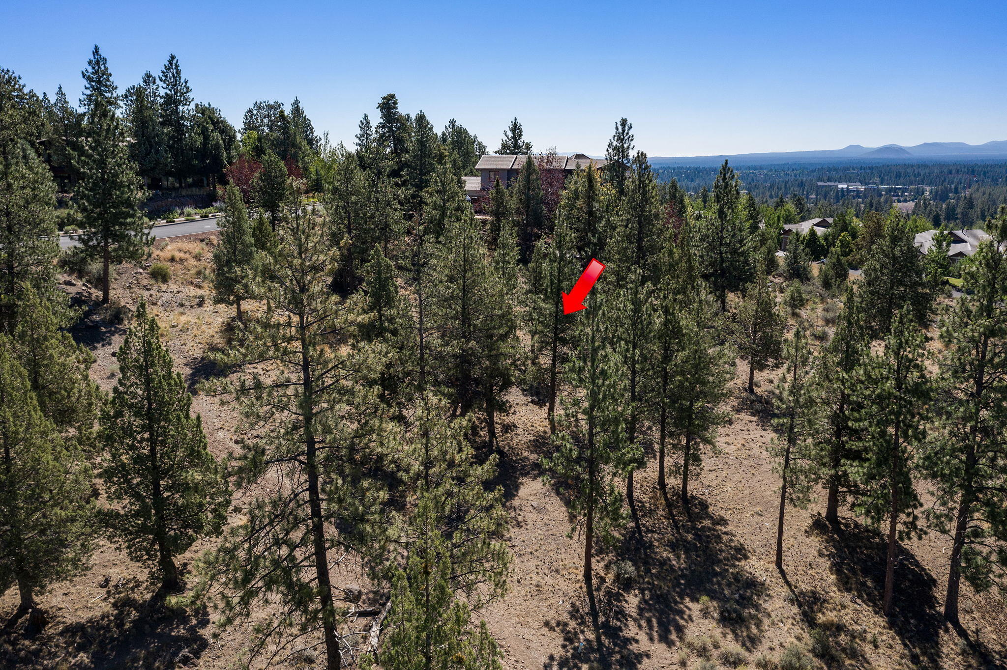 Skyliner Summit - Land