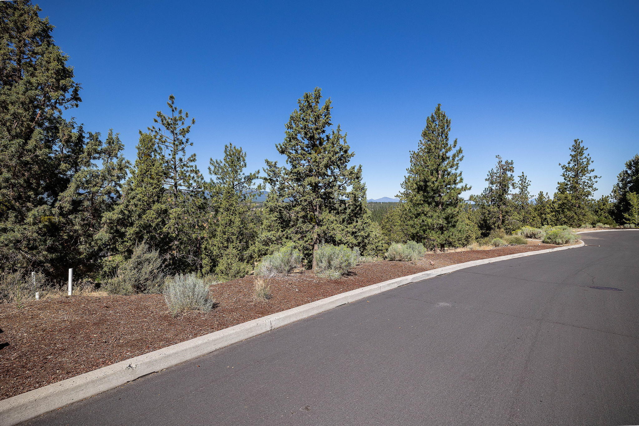 Skyliner Summit - Land