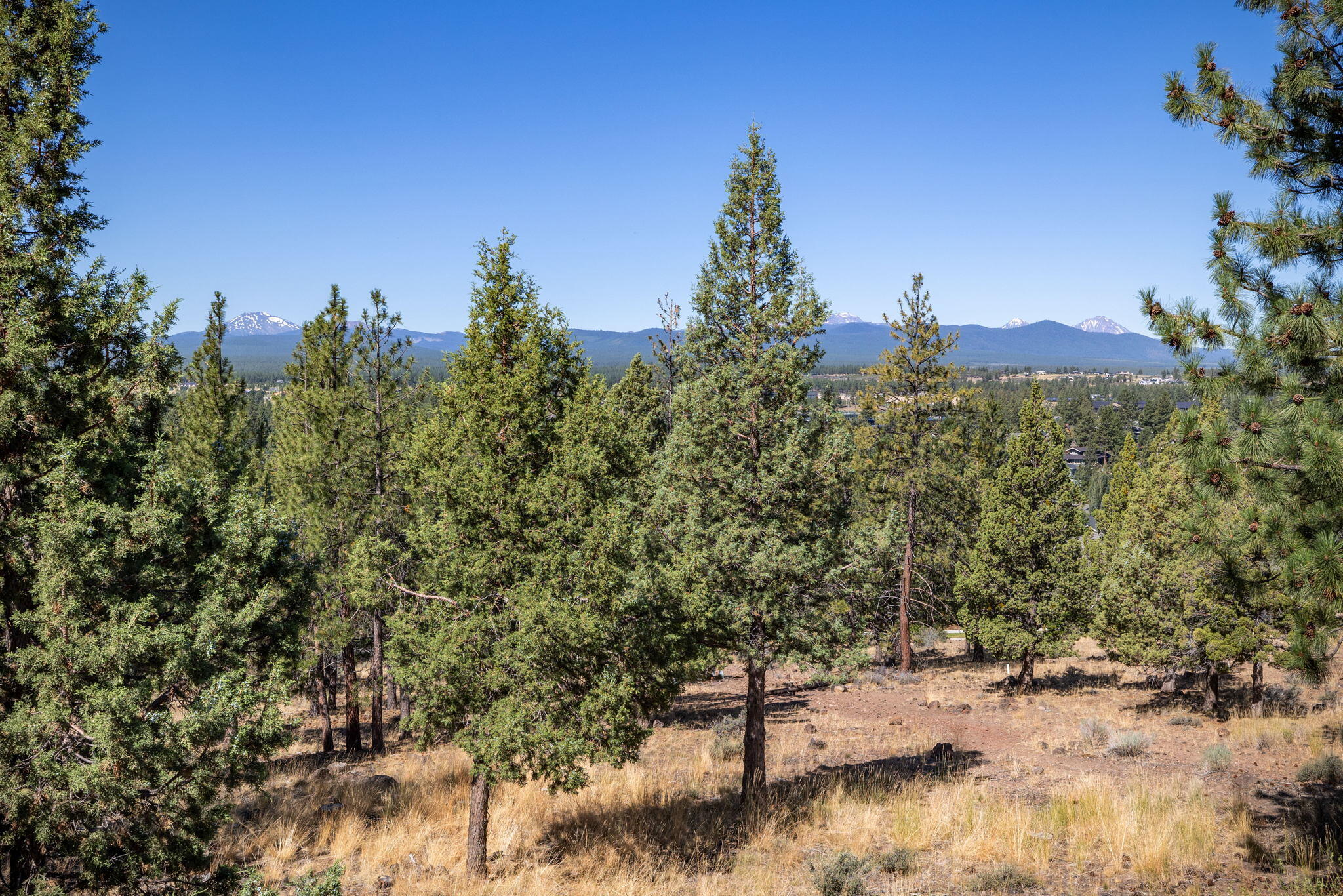 Skyliner Summit - Land