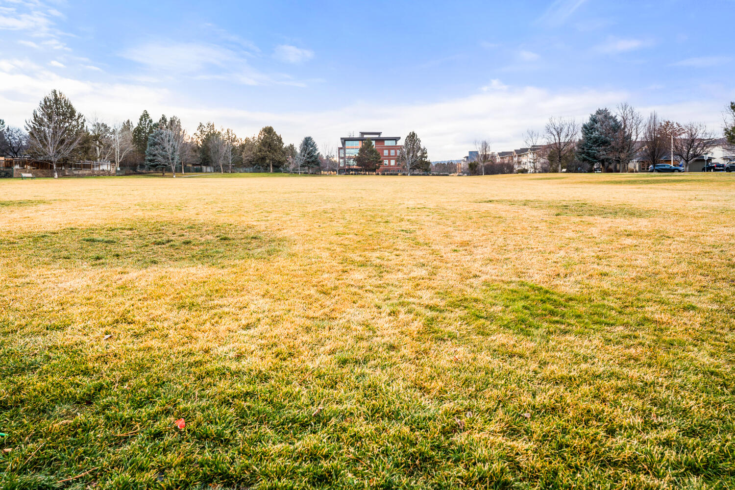 Altura - Residential