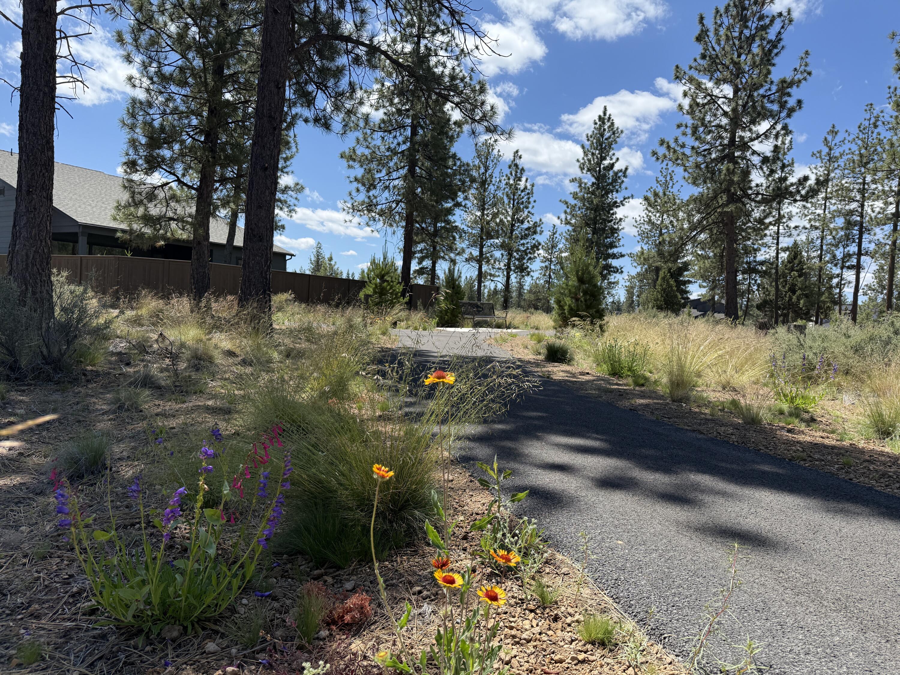 Collier - Residential