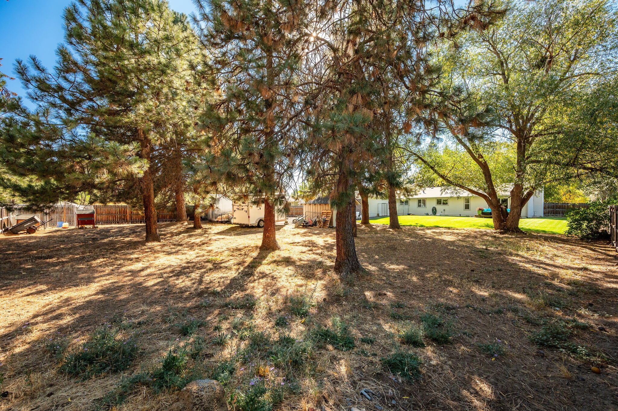 Goldenrain - Residential