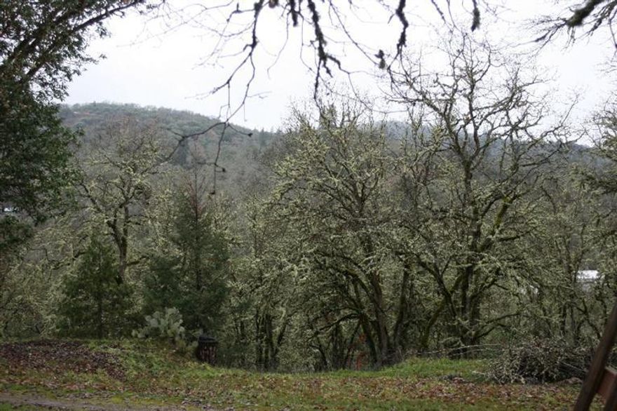 An amazing opportunity! 6.5 acres with 2 mobiles and the possibility of additional units per the county. UR1 zoning, 2 septic systems, a garage/shop and an additional non-permitted unit. Units rent for $600 and $525 and rents have never been raised. Third unit is block, metal roof and is a one bedroom/one bath updated cottage. Property sits at the top of the hill, has a circular driveway, seasonal pond and garden spot. Per the county, there is a possibility of additional permitted units. This property would be great for a two or more family set-up, investment unit property and many other home businesses. Check the UR1 zoning for possible uses. Owner will carry with at least $50,000 down.