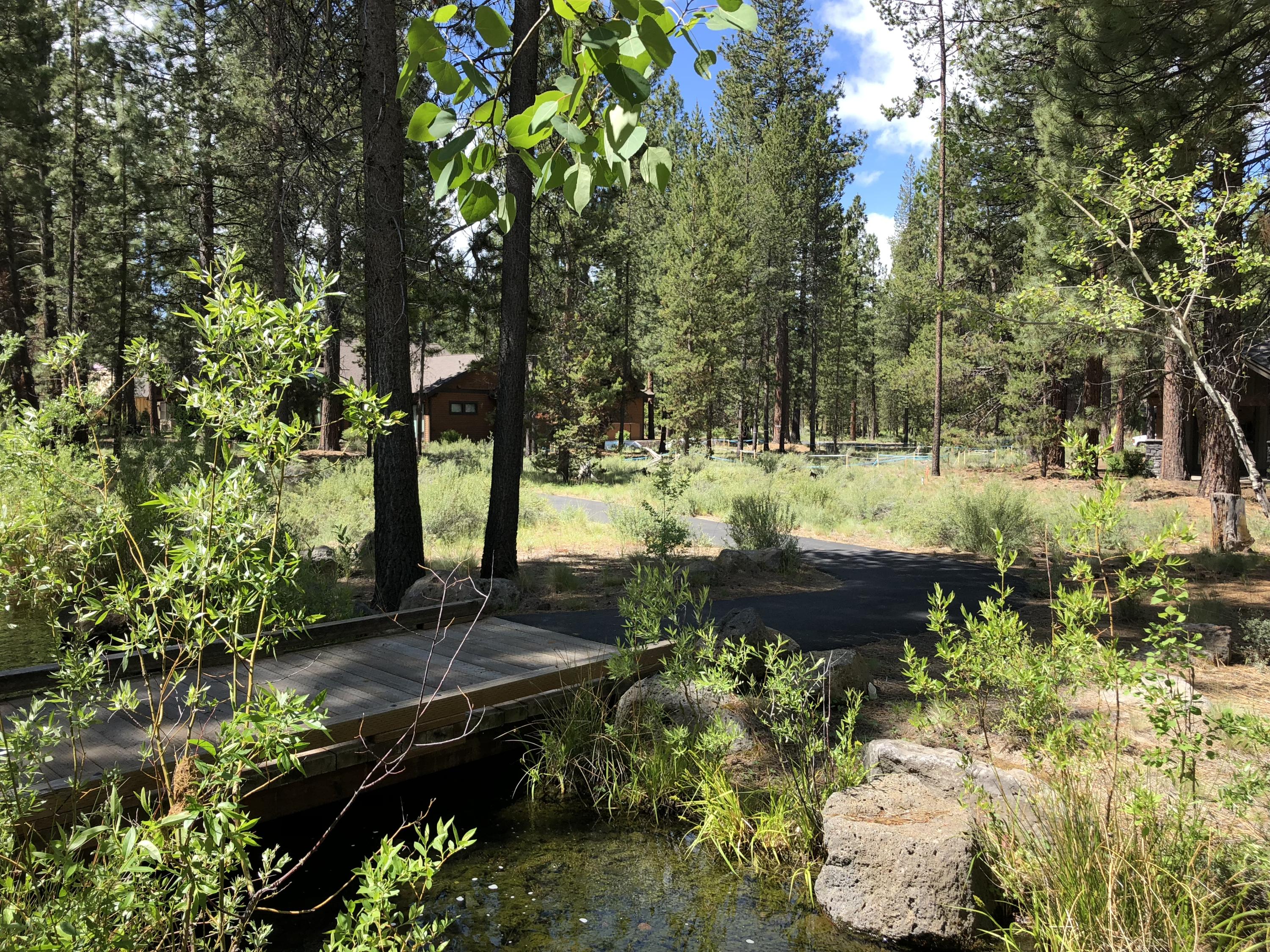 Caldera Springs - Land