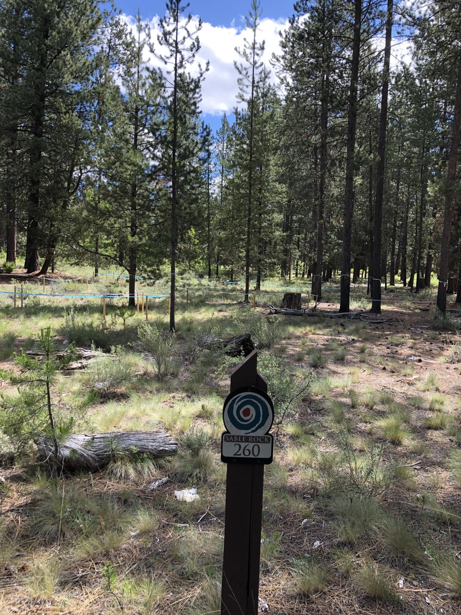 Caldera Springs - Land