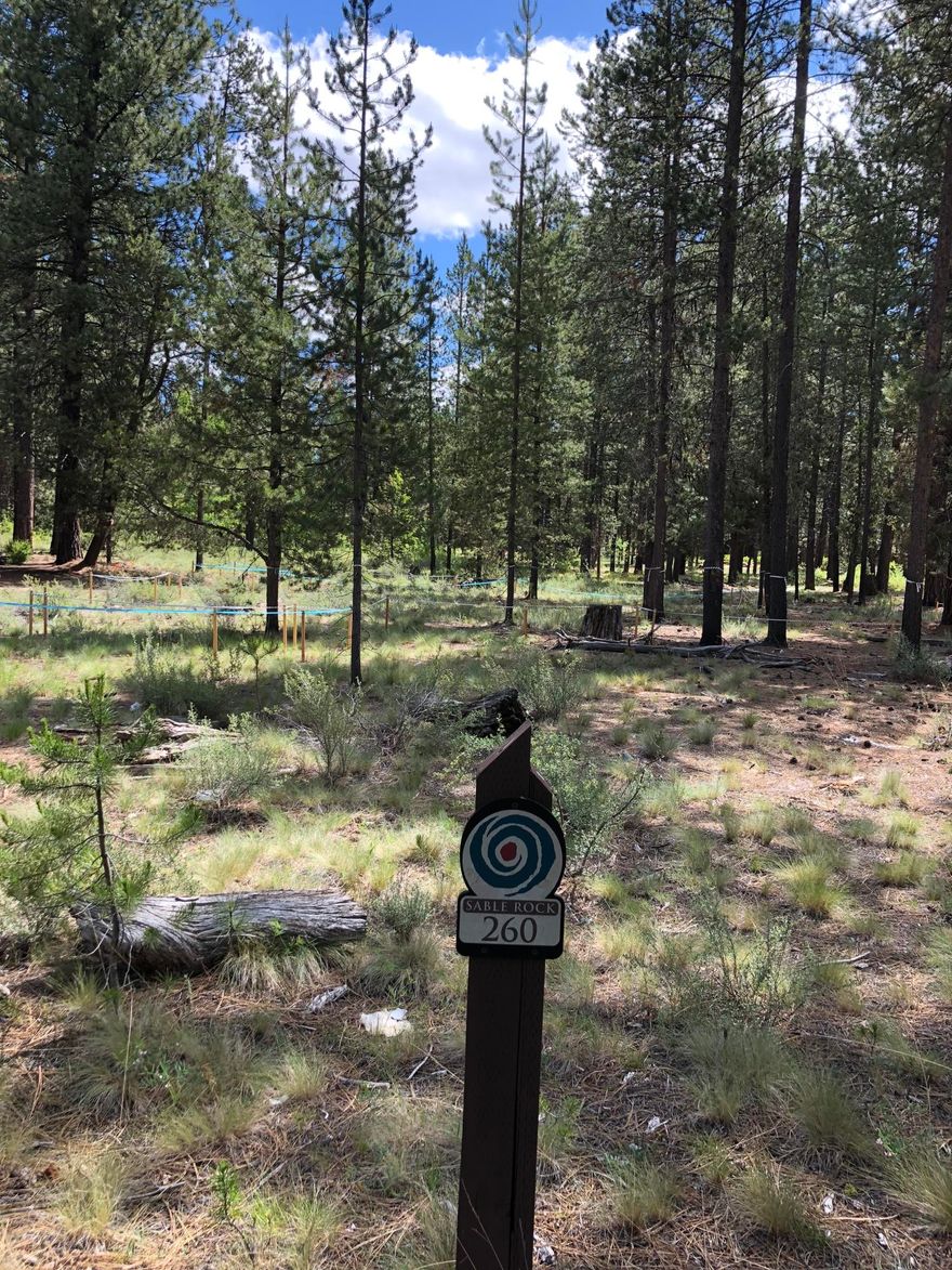 You will not want to miss this great opportunity to own a Caldera Springs home site on desirable Sable Rock Loop.  Backing up to a spacious common area and Sable Rock Park, this peaceful, level .35 acre home site is surrounded by majestic pine trees.  An ideal location to build the home of your dreams.  Enjoy relaxing with family and friends on your back patio that over looks a park with a pond, stream and a large grass area for activities.  Owners at Caldera Springs enjoy an abundance of recreational amenities including the Quarry Pool and Fitness Center, Harper's Outpost picnic pavillion, acres of lakes for fishing, kayaking and miles of paved and soft trails.  Only 18 miles to Mt. Bachelor.