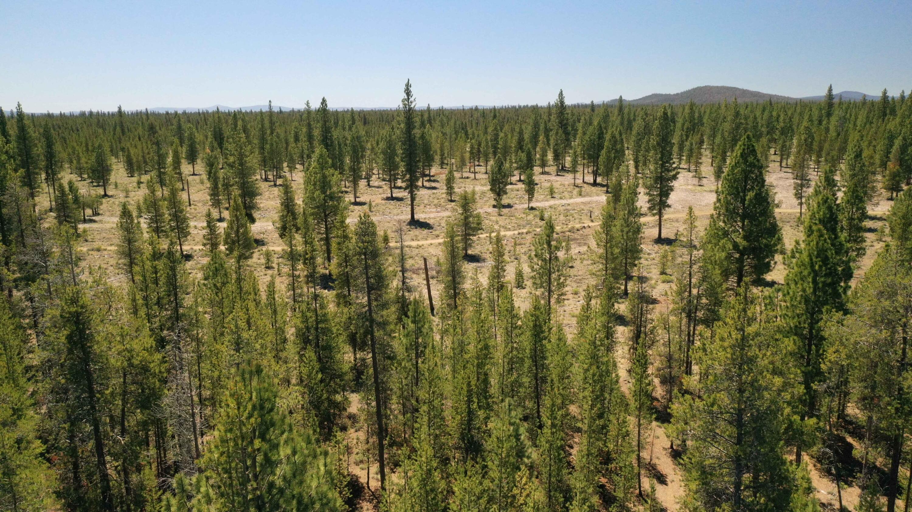 Fall River Estate - Land