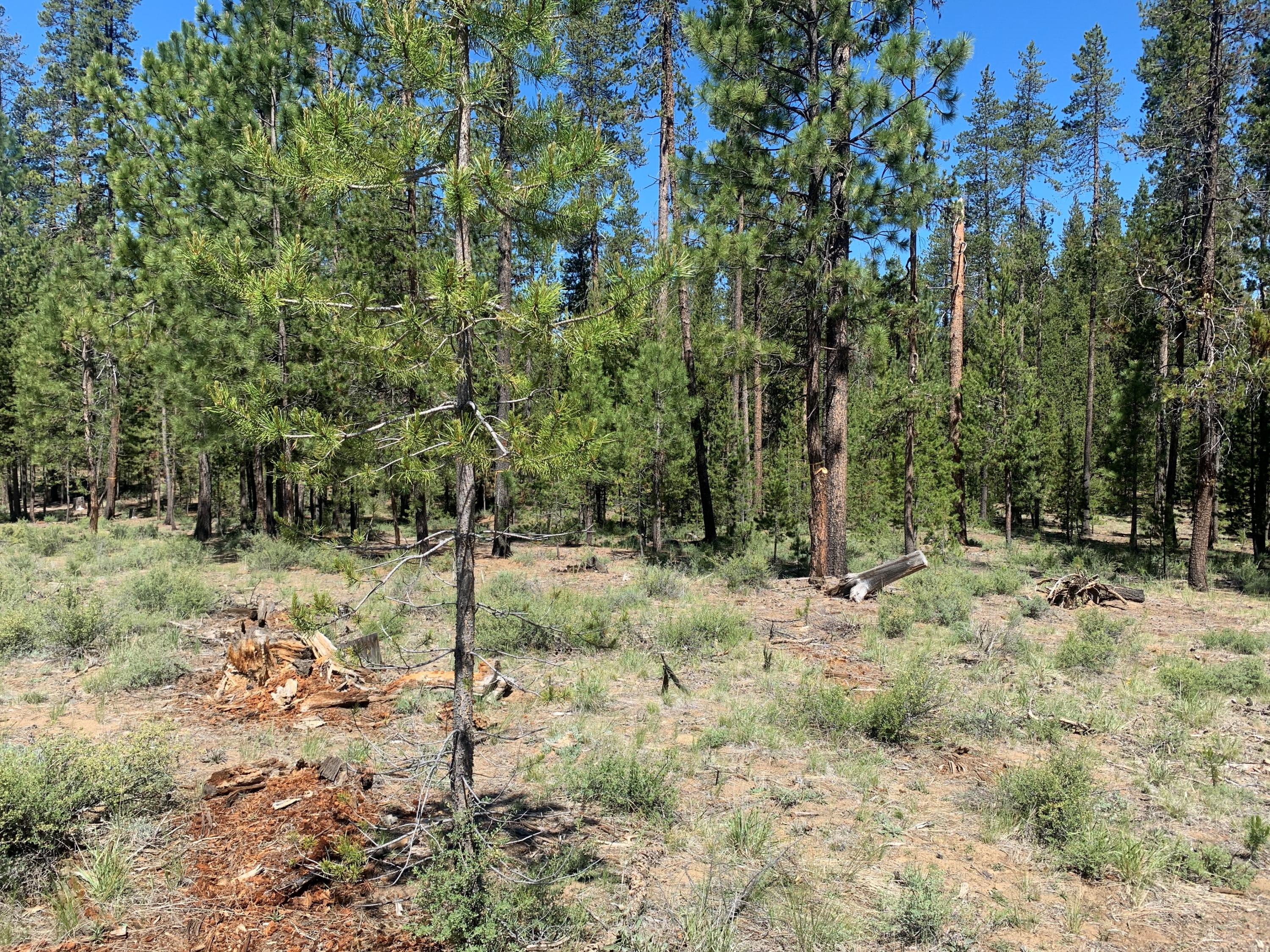 Fall River Estate - Land