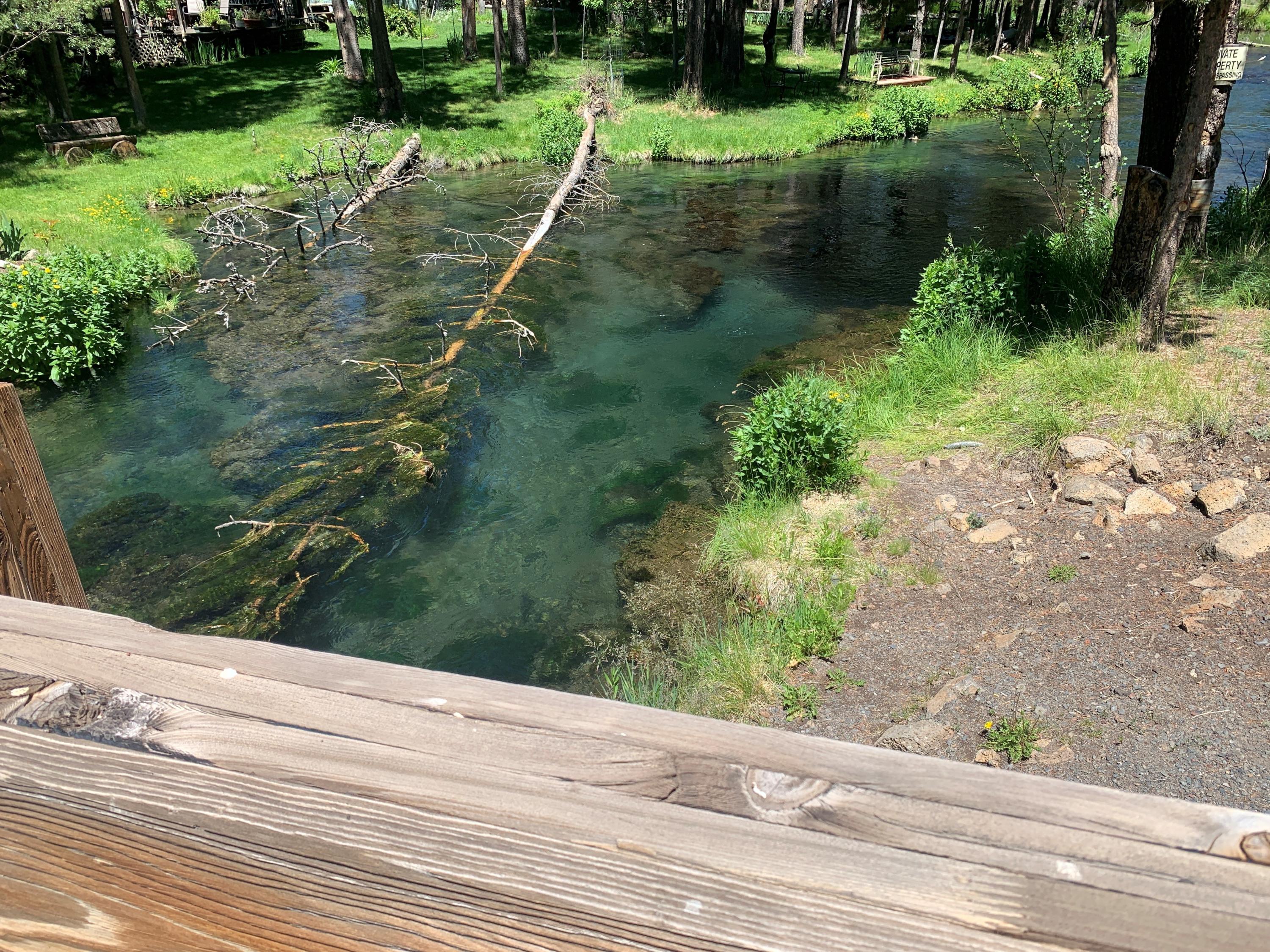 Fall River Estate - Land