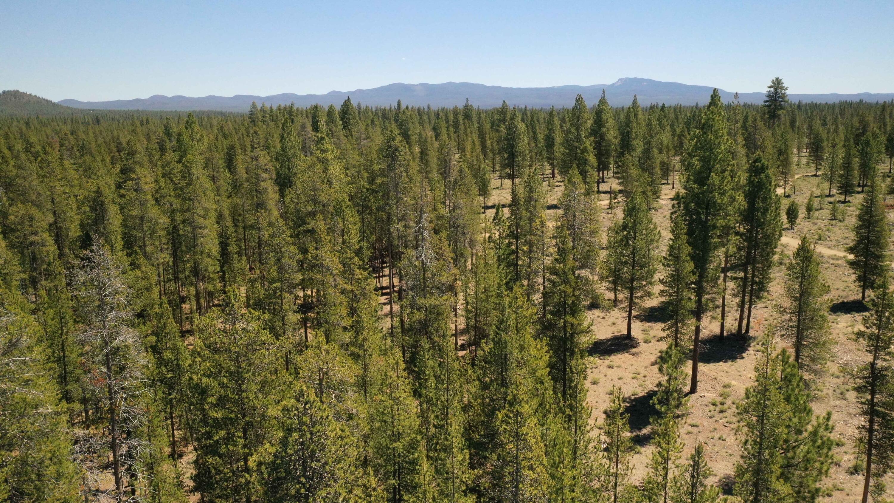 Fall River Estate - Land