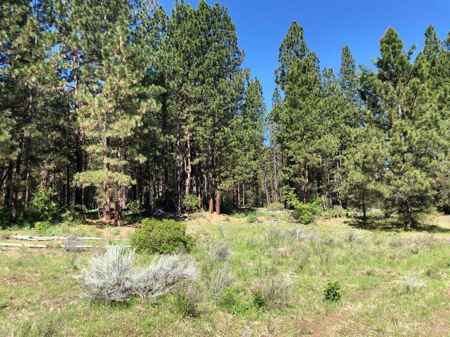 A very nice, secluded 5 acre parcel. Has some open grass areas with nice pine trees. Would make a great recreational or camping property.