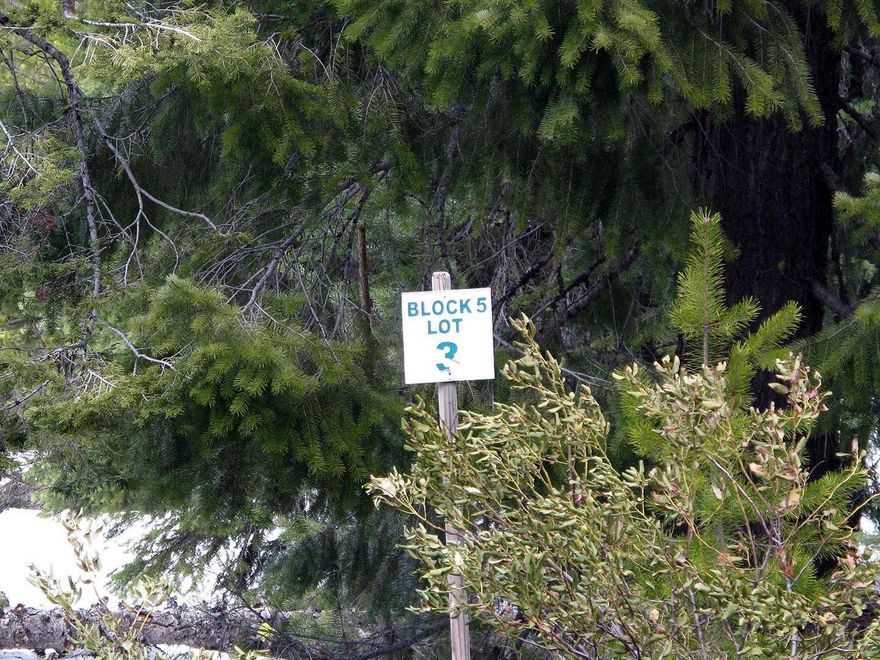 Build your dream home on this incredible level, 1 acre parcel in the Lakewoods community just minutes from The Lake of the Woods and Lake of the Woods Resort. Enjoy the peace and serenity of country living with lots of wildlife and trees. This community is made up of very nice custom log homes for full time and vacation homes living. Lake of the Woods Resort is just a few miles away right on the lake and offers fishing, boating, hiking and many other outdoor activities. The Pacific Crest Trail is close by for hiking, photography of the wildlife or beautiful landscapes or take in a nice dinner and a movie at the resort. This is luxury vacation home living in the country at its finest.