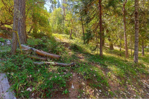 Tiny photo for 11150 Lower River Road, Grants Pass, OR 97526 (MLS # 220224135)