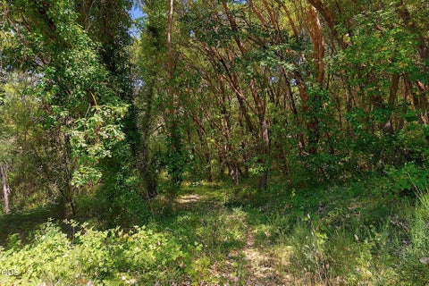 Tiny photo for 11150 Lower River Road, Grants Pass, OR 97526 (MLS # 220224135)