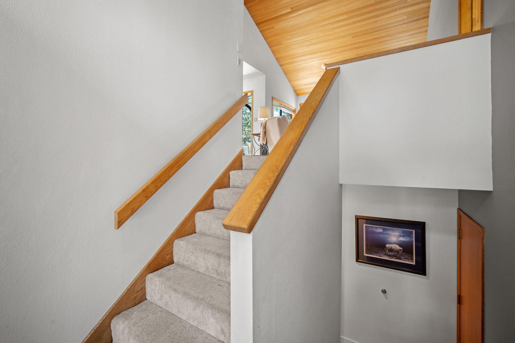 57583 White Elm 26