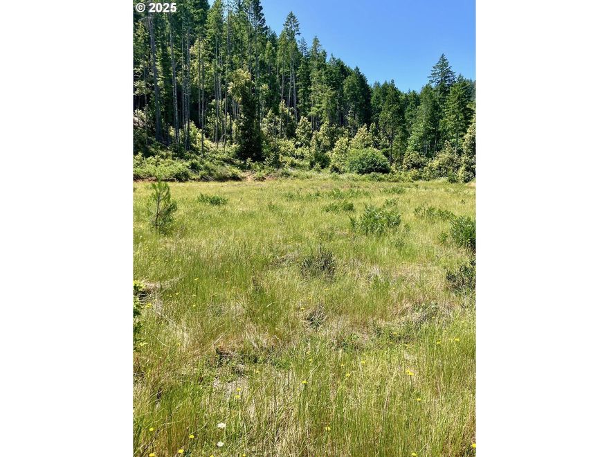 Discover the perfect blend of seclusion and possibility with this stunning 20-acre parcel located in O'Brien,
Oregon—just minutes from the California border and a quick 5-minute drive o Highway 199. Nestled in the heart of
nature, this raw land oers endless potential. A beautiful, large, cleared, at meadow area provides a great spot for
building, recreation, or homesteading. The rest of the property is densely treed, ideal for timber harvest, privacy, or
simply enjoying your own slice of tranquil forest. Whether you're looking for an o-grid getaway, future development,
or a peaceful escape, this property is a rare opportunity in Southern Oregon's serene wilderness. #land #trees
#OBrien #Oregon #seclusion