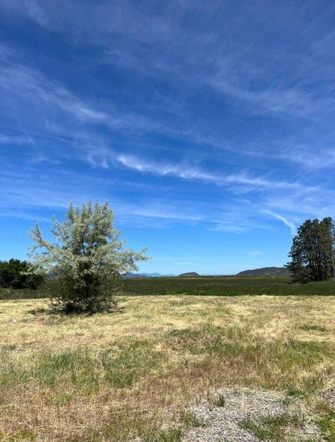 Lake Shore Gardens - Land