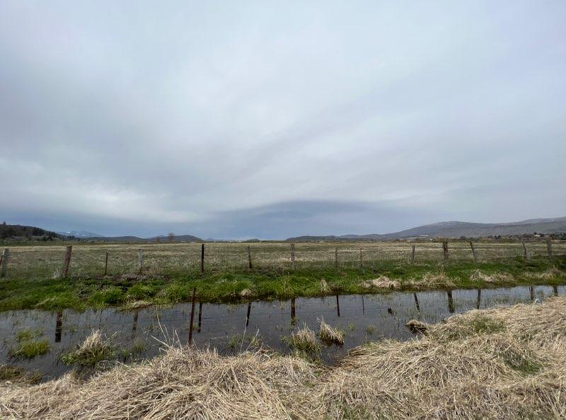 Lake Shore Gardens - Land